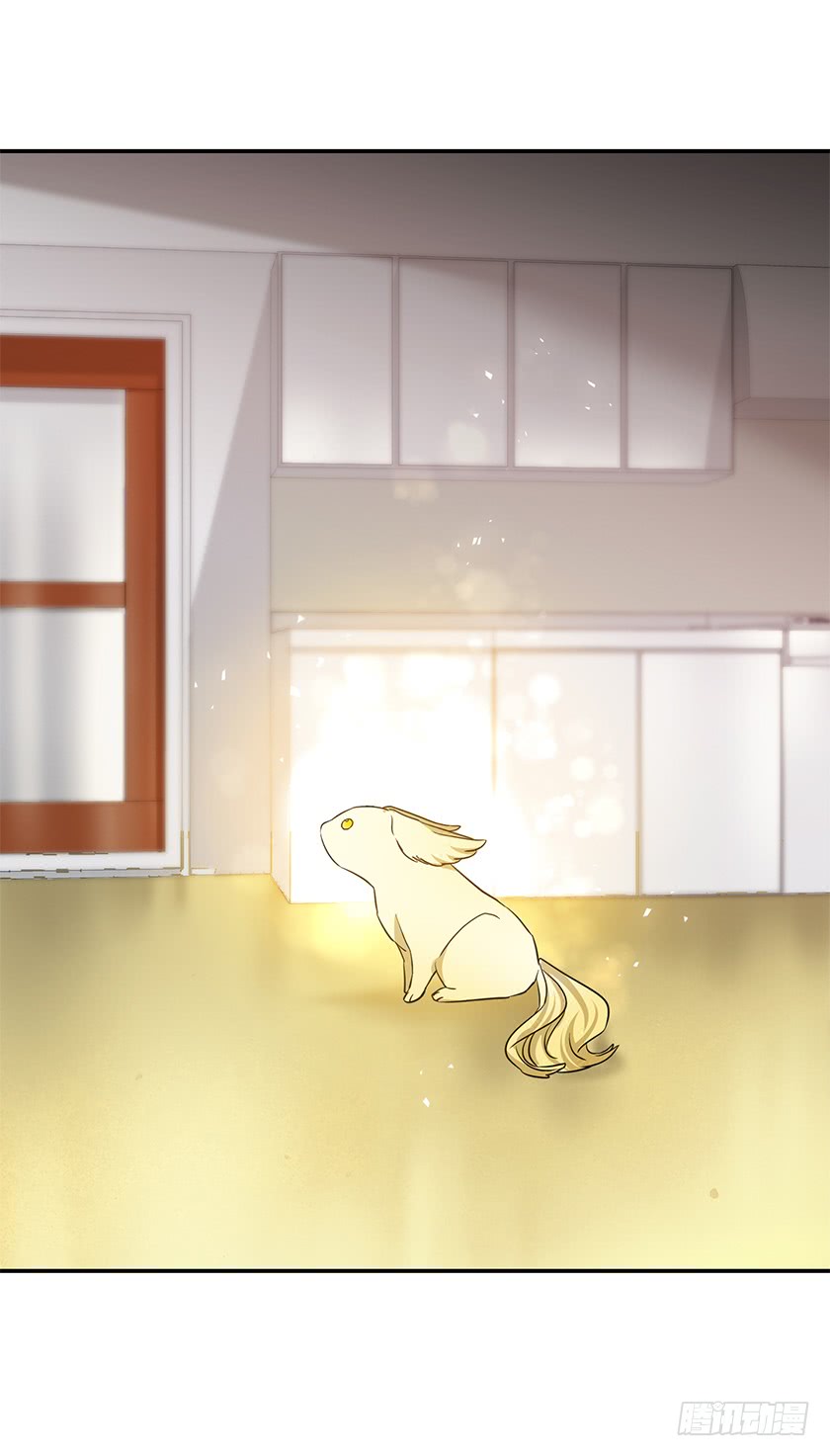 140.卡特的婚礼(1/2)-第142话