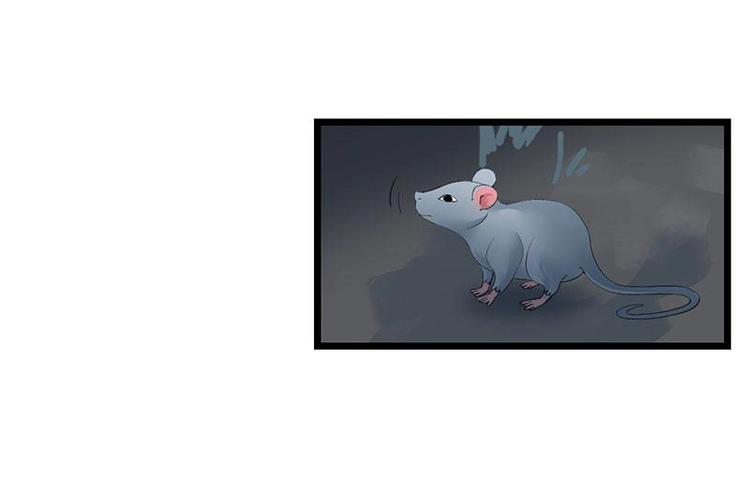 5-第6话