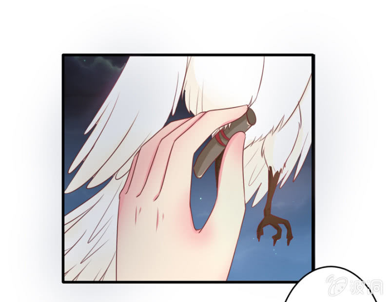 剥皮换骨？-第34话