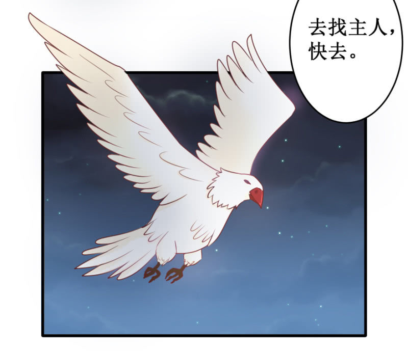 剥皮换骨？-第34话
