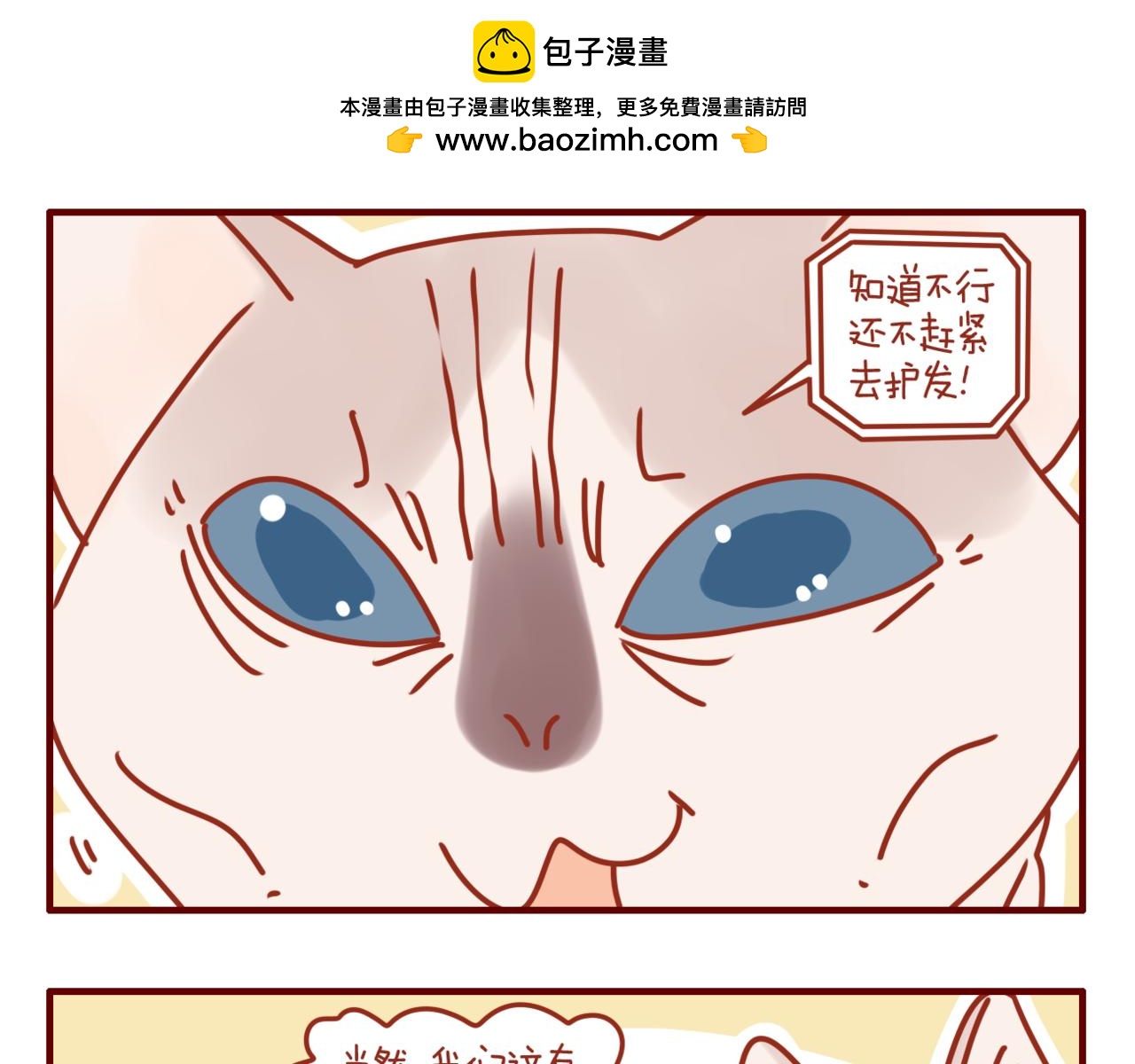 第17话 我们小桃拍广告啦-第18话
