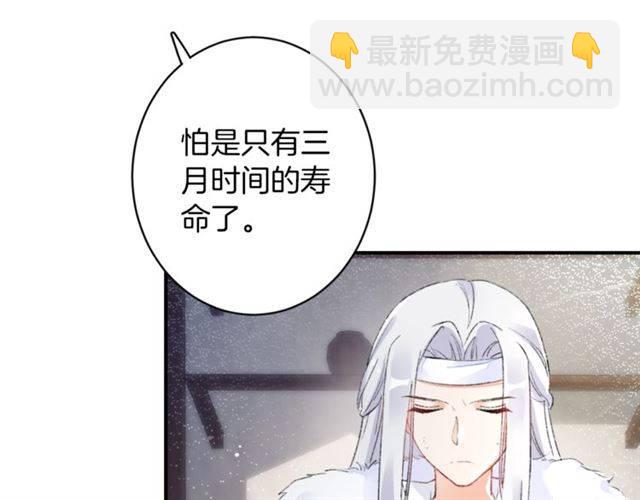 第二季第7话 和你一起去南疆(1/2)-第66话