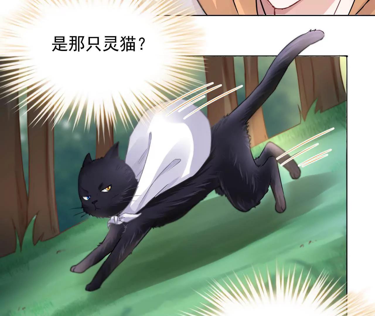 第13话 下山(1/2)-第14话
