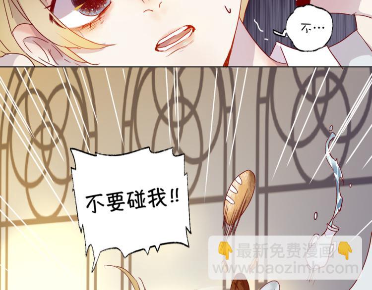 第1话 与从前的相遇(1/3)-第2话
