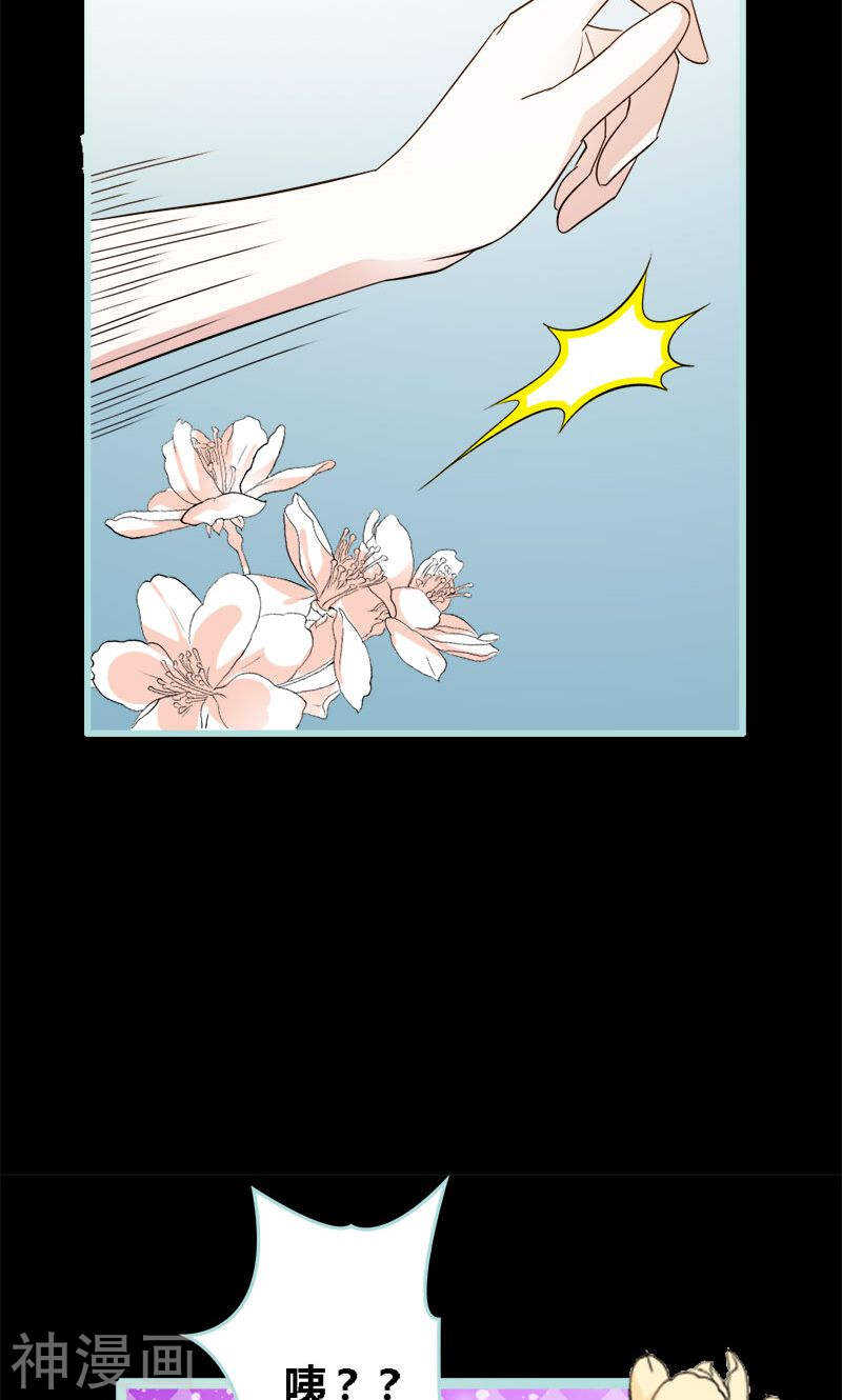 第66话 原来你喜欢叶伽？-第68话