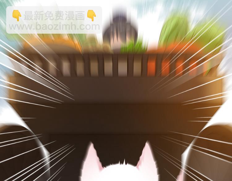 第1话 穿越成狐(1/2)-第2话