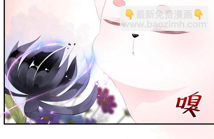 第11话 侍女报复(1/2)-第12话