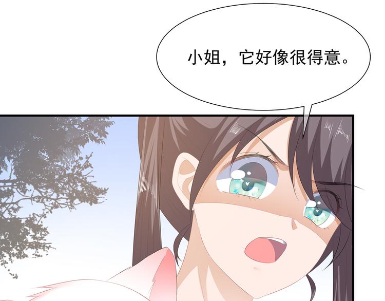 第19话 法术显灵(1/2)-第20话