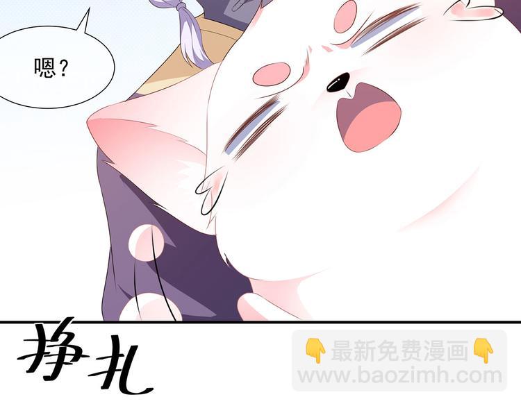第3话 灵狐之秘(1/2)-第4话