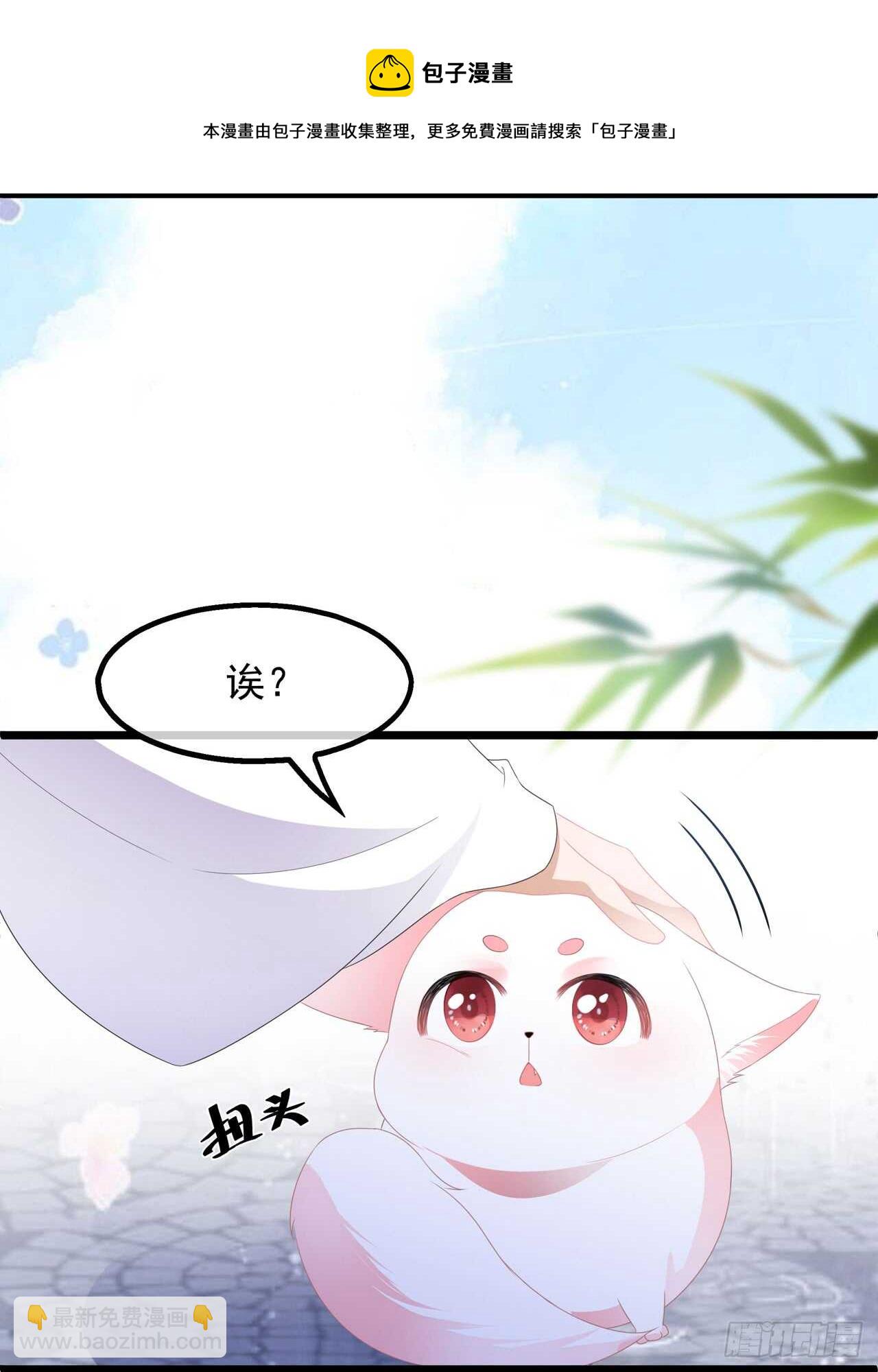 第39话 宸王母妃-第42话
