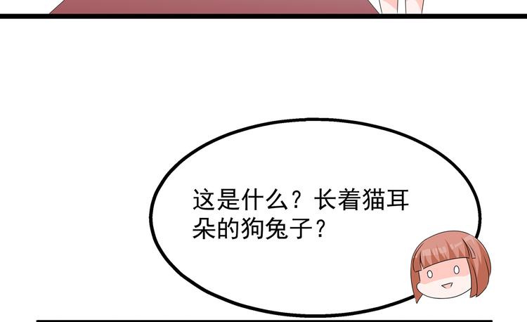 番外 激萌狐狸诞生记(1/2)-第46话