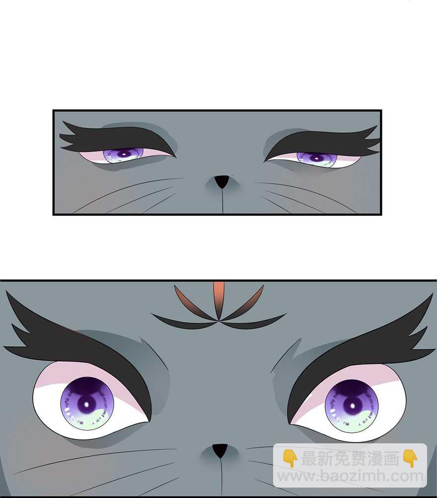 第63话 你就叫小黑脸吧-第70话