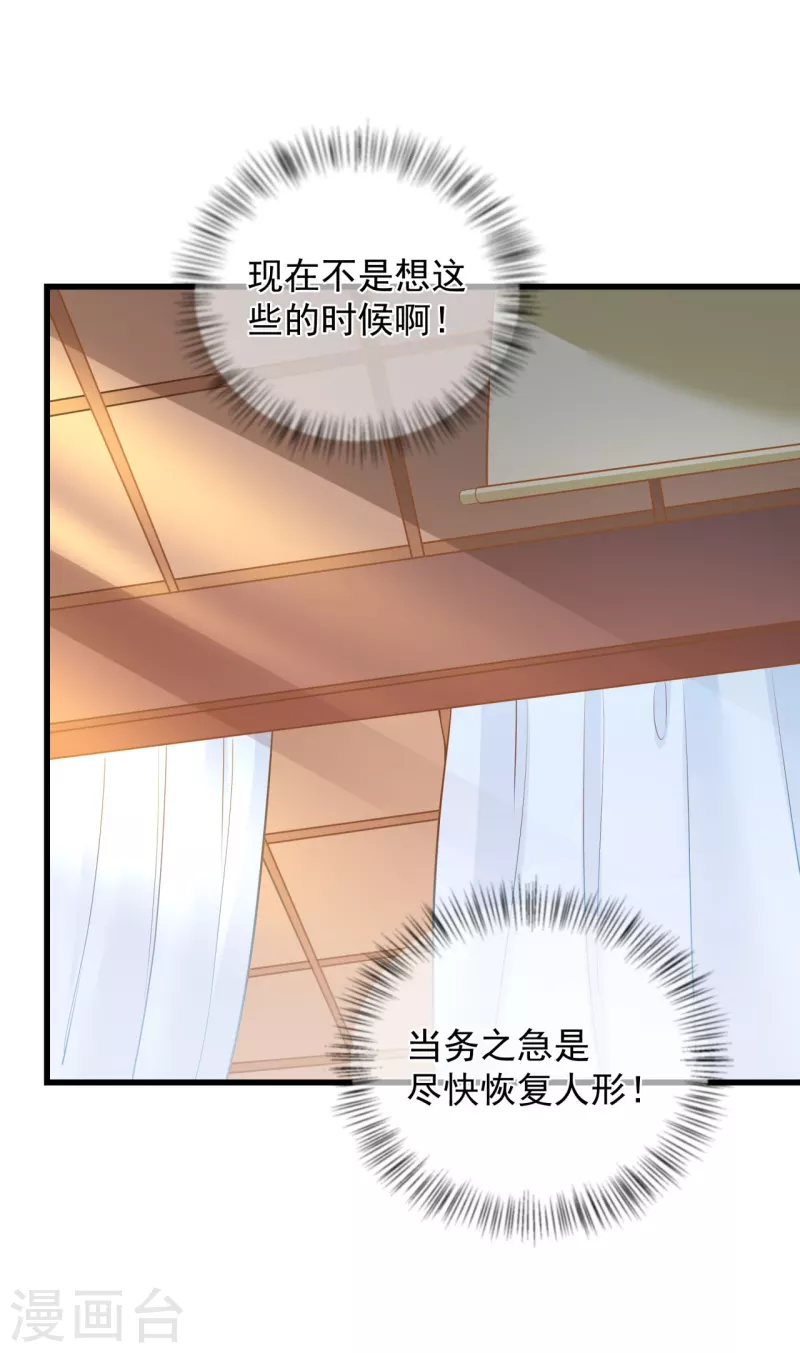 第5话 他的私心-第6话