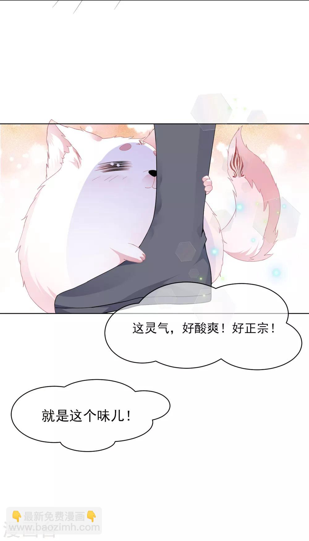 第1话 穿越成狐-第2话