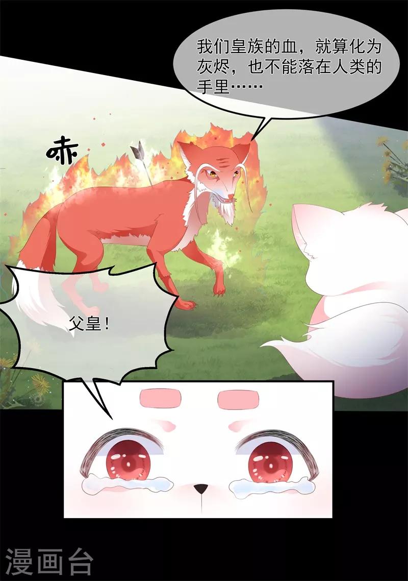 第90话 灵狐传承-第102话