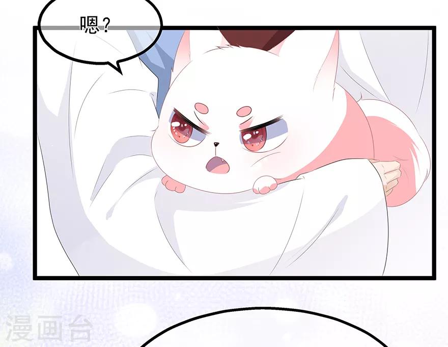 第26话 肥狐炒饭-第28话
