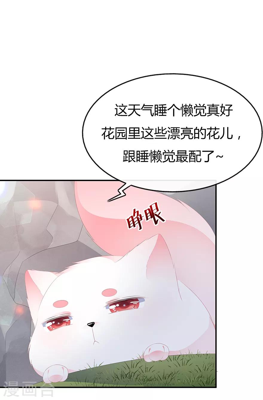 第32话 一曲《灵狐灵》-第36话