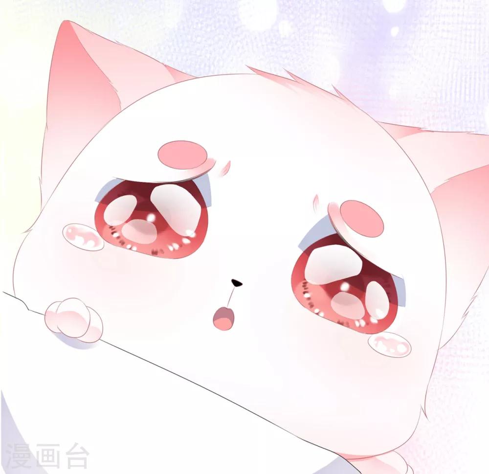 第40话 进入迷阵-第46话