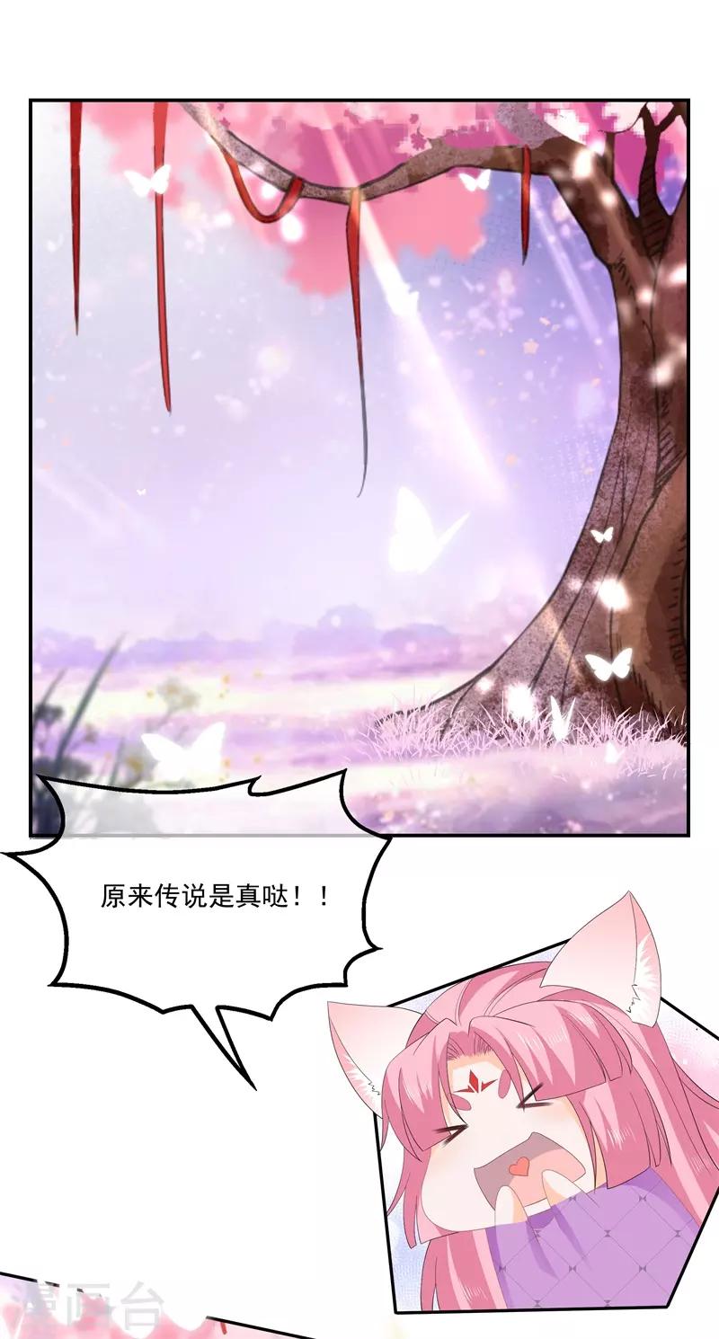 番外2 清希、千城，欢迎回家！-第64话