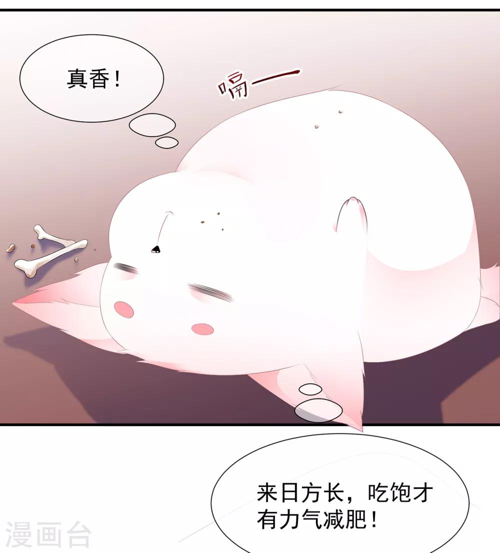 第7话 是狐是猪-第8话