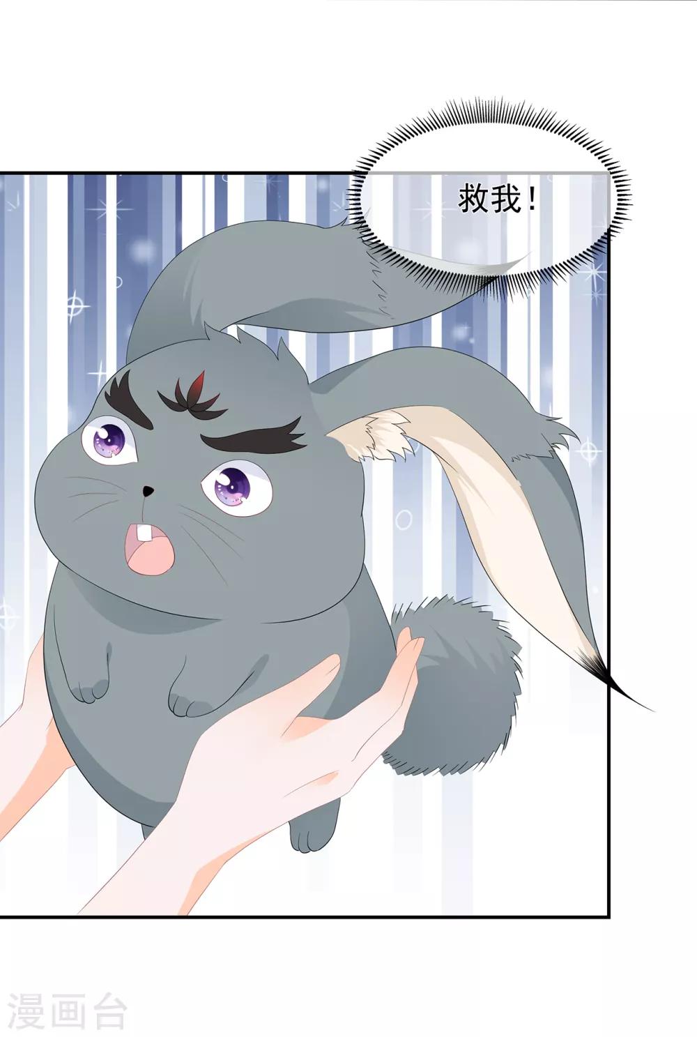 第62话 神秘的黑兔-第72话