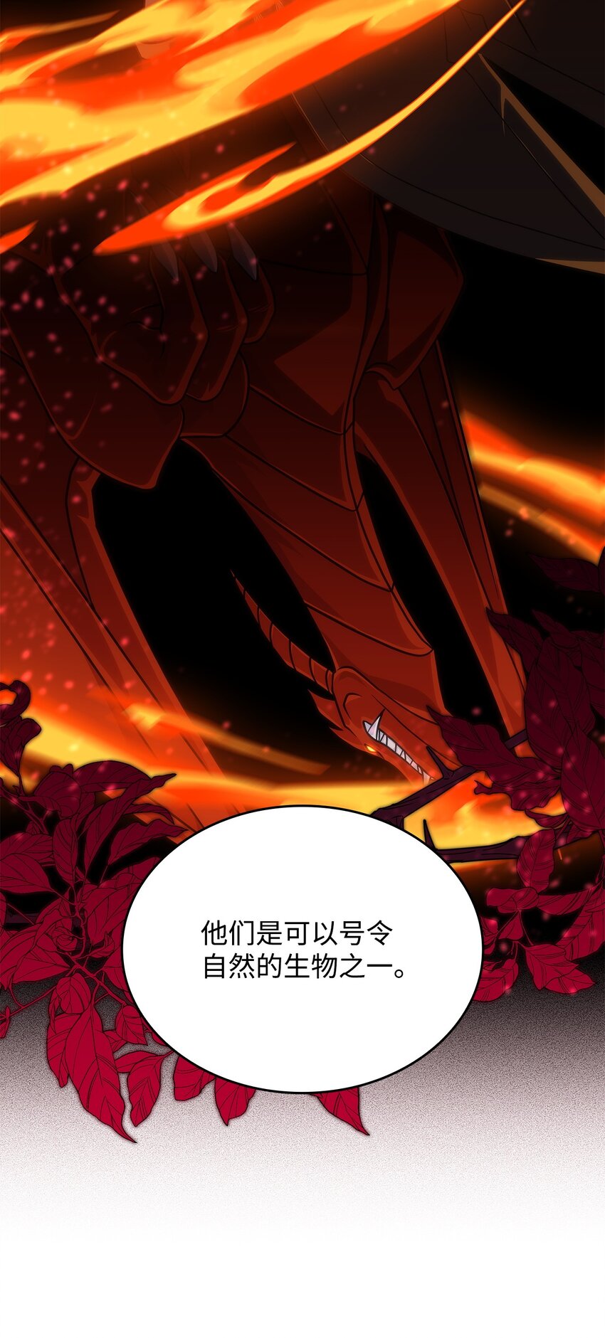 31 龙是存在的(1/2)-第30话