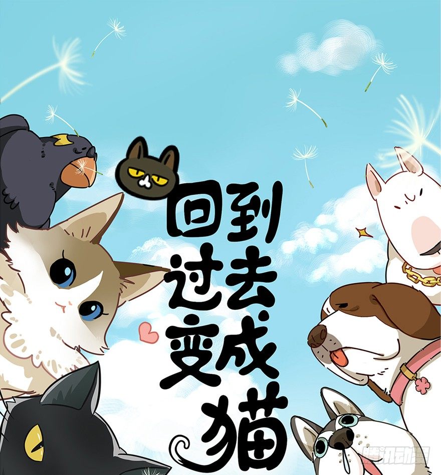 第2爪 做猫第一课（上）-第2话