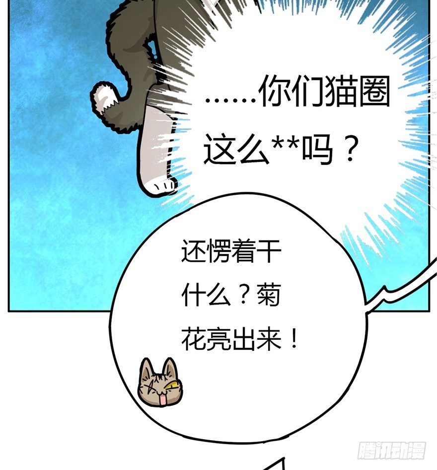 第2爪 做猫第一课（上）-第2话