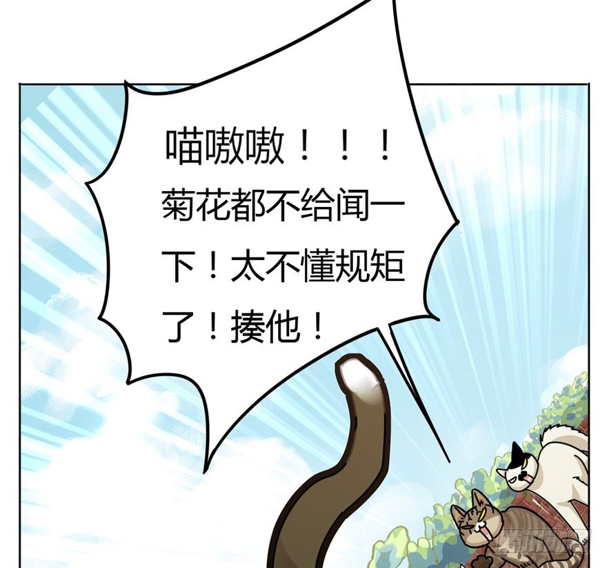 第2爪 做猫第一课（上）-第2话