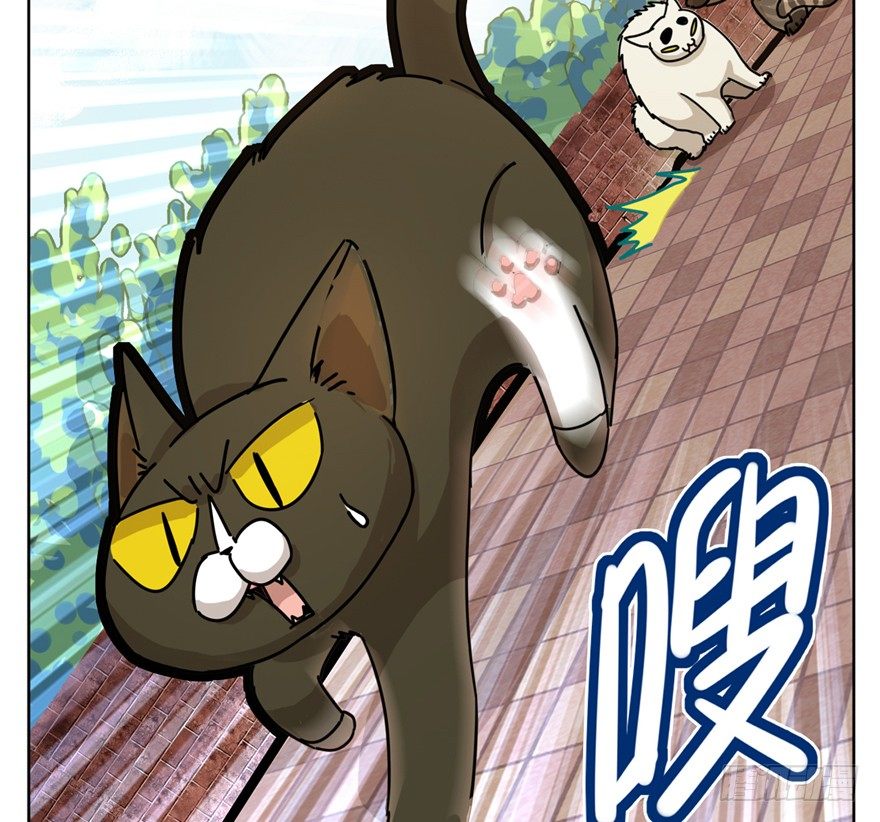 第2爪 做猫第一课（上）-第2话