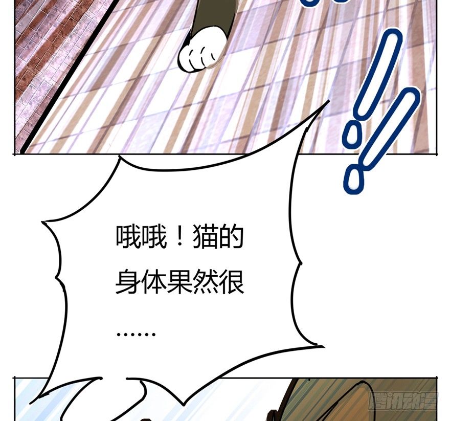 第2爪 做猫第一课（上）-第2话
