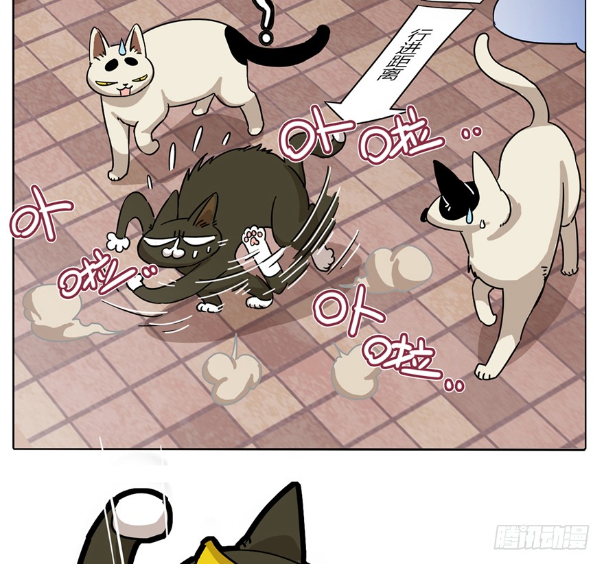 第2爪 做猫第一课（上）-第2话