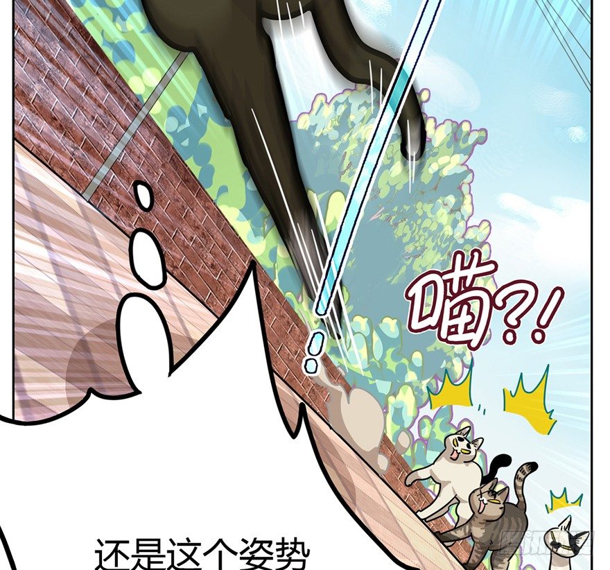 第2爪 做猫第一课（上）-第2话
