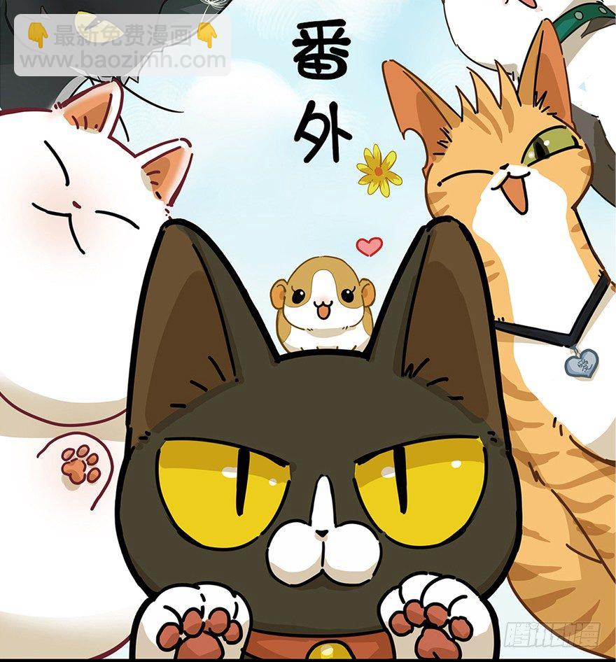 第2爪 做猫第一课（上）-第2话