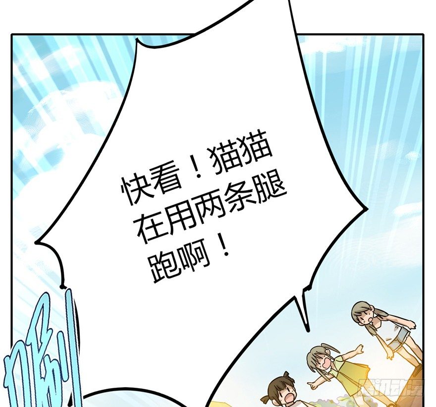 第2爪 做猫第一课（上）-第2话