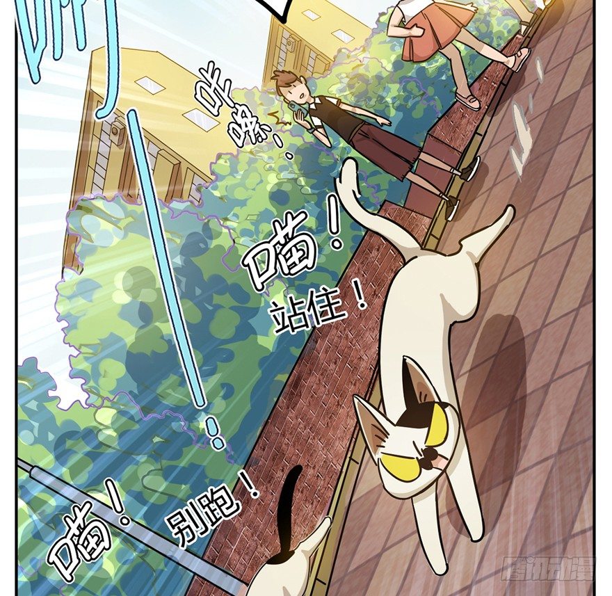 第2爪 做猫第一课（上）-第2话