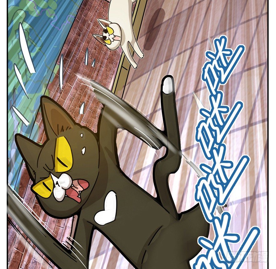 第2爪 做猫第一课（上）-第2话