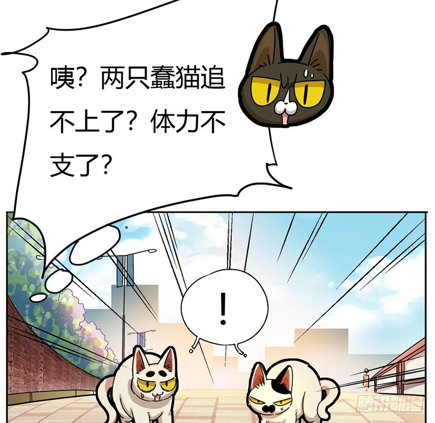 第2爪 做猫第一课（上）-第2话