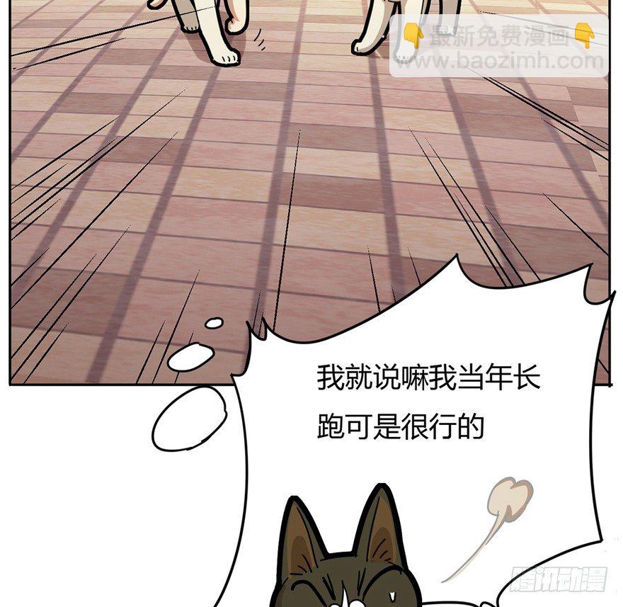第2爪 做猫第一课（上）-第2话