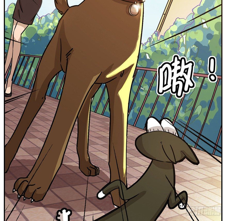 第2爪 做猫第一课（上）-第2话