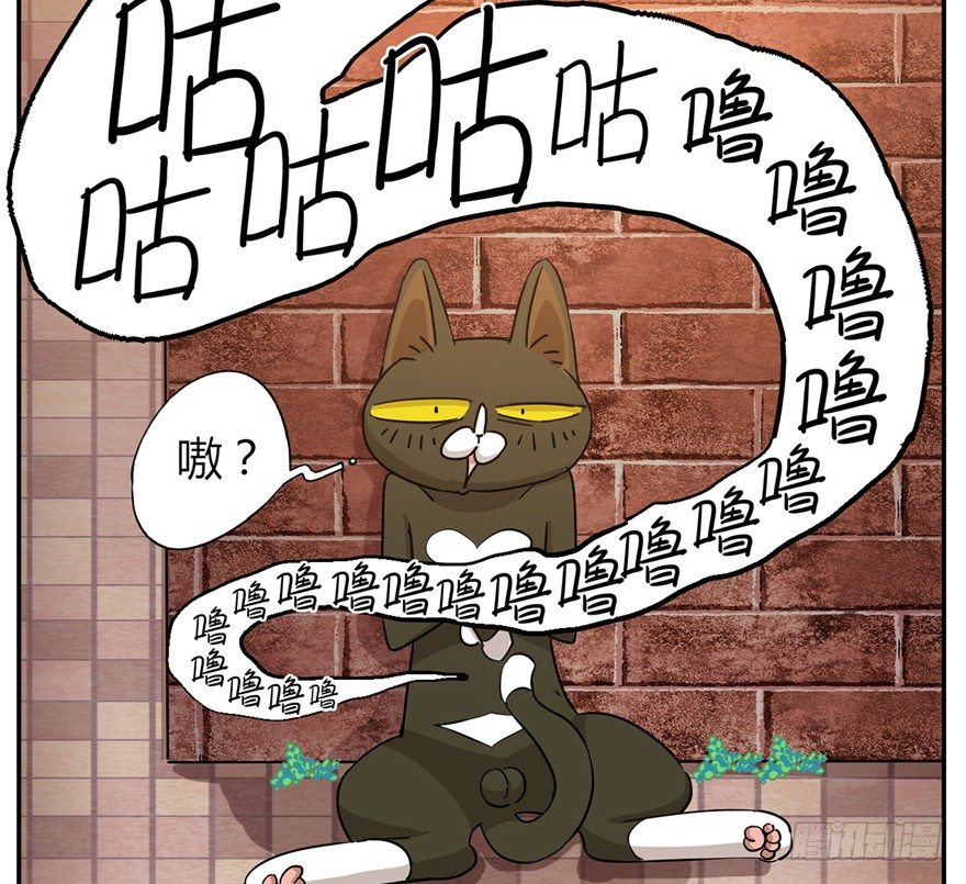 第2爪 做猫第一课（上）-第2话
