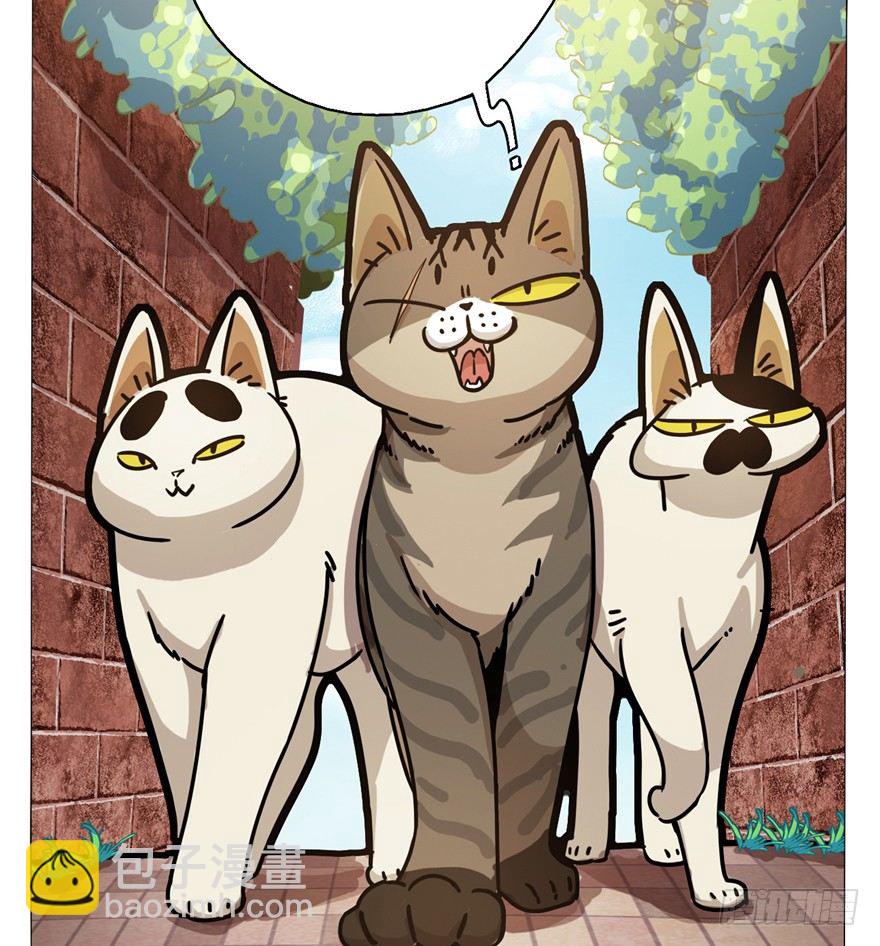 第2爪 做猫第一课（上）-第2话