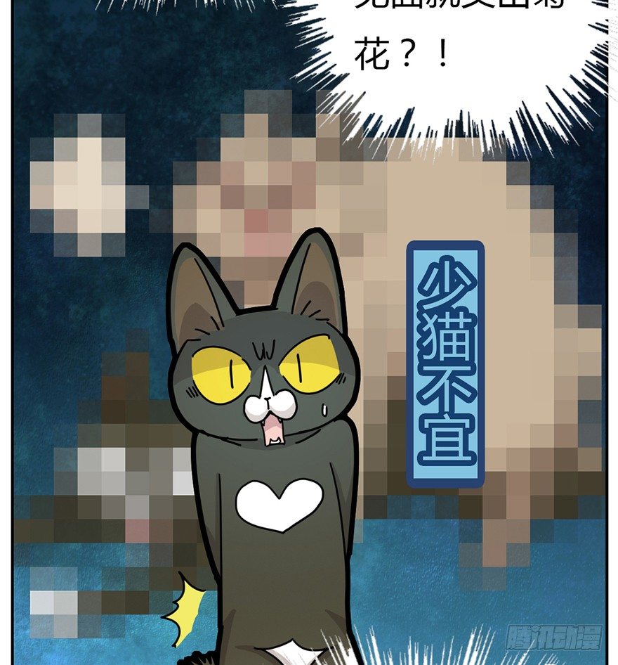 第2爪 做猫第一课（上）-第2话