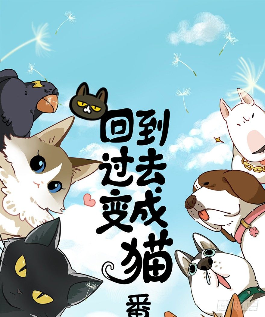 第96爪 猫鼠联盟-第102话