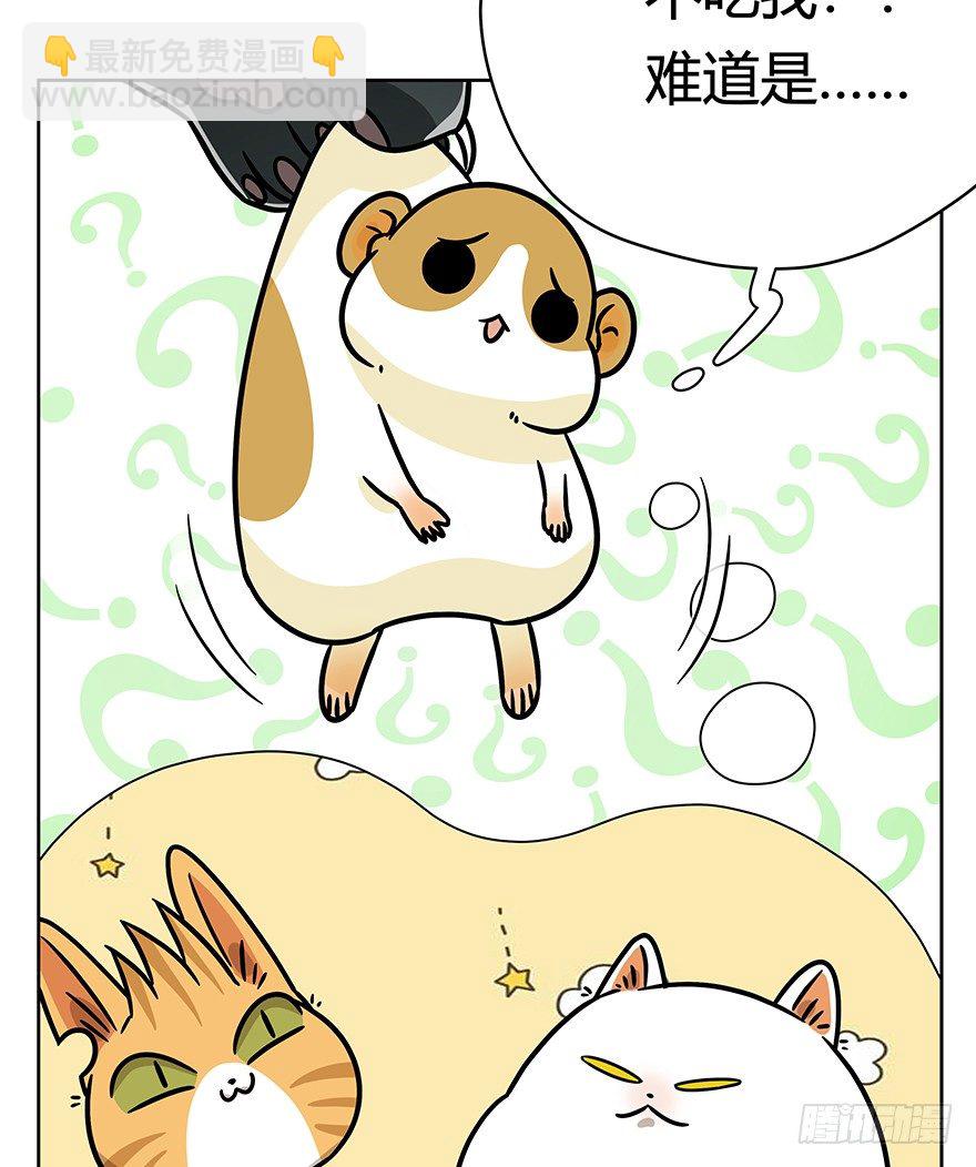 第96爪 猫鼠联盟-第102话