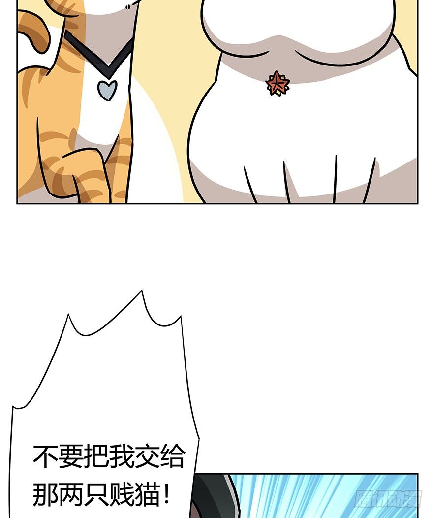 第96爪 猫鼠联盟-第102话