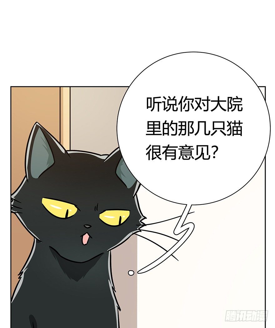 第96爪 猫鼠联盟-第102话
