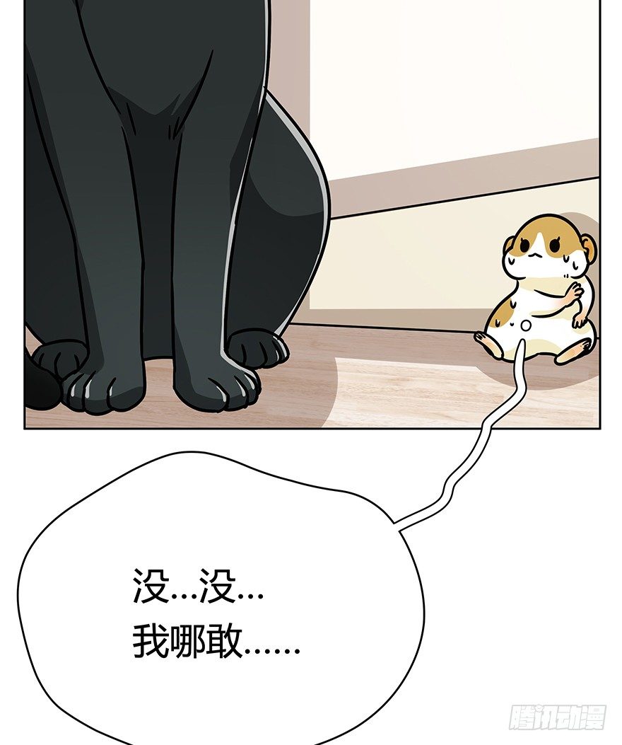 第96爪 猫鼠联盟-第102话