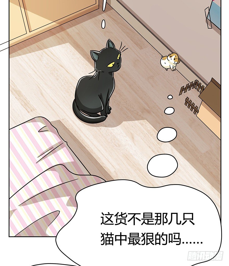 第96爪 猫鼠联盟-第102话
