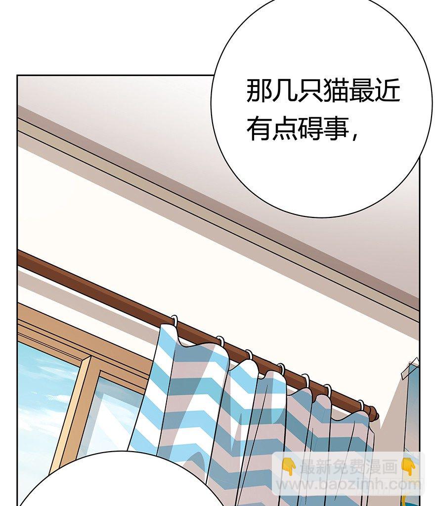 第96爪 猫鼠联盟-第102话